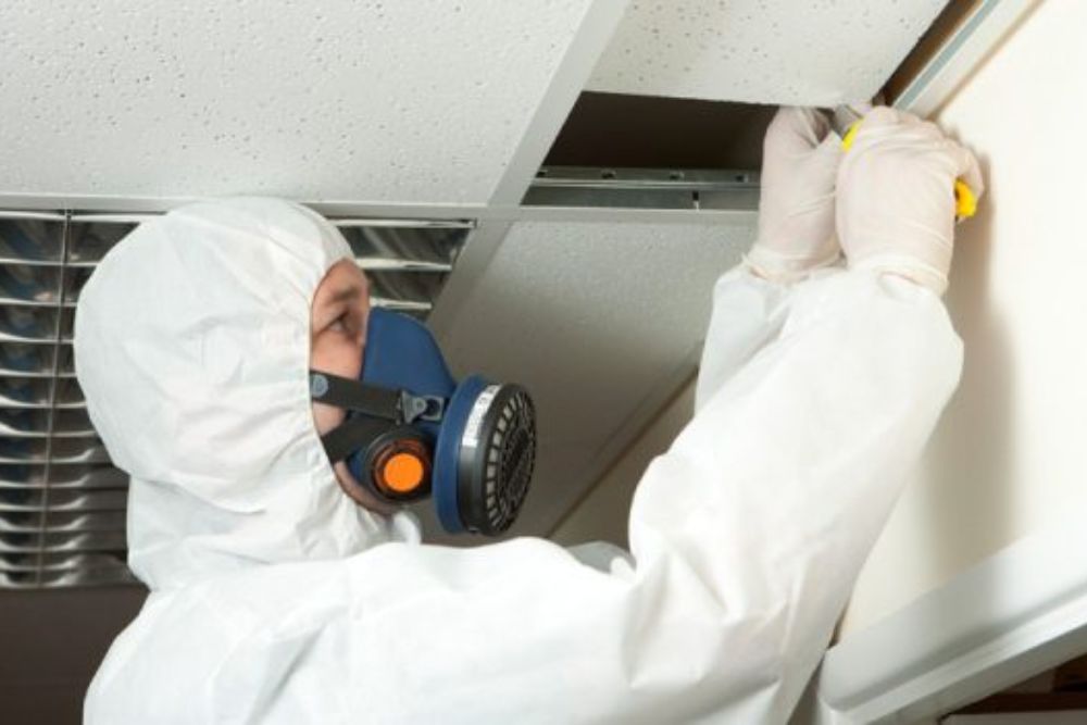 asbestos inspection and assessment